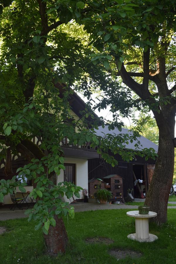 Gaestehaus Bohg Burg  Luaran gambar